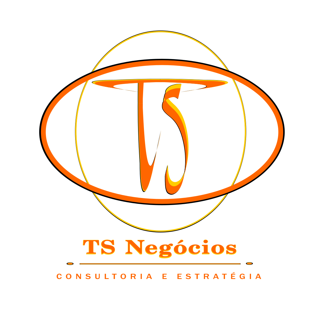 TS Negócios